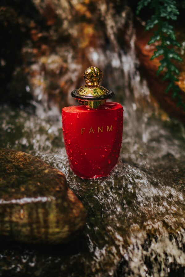 Coco de Mer Fanm - Image 2