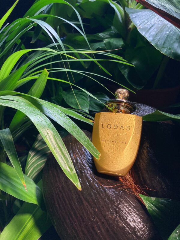 Coco de Mer Lodas - Image 2