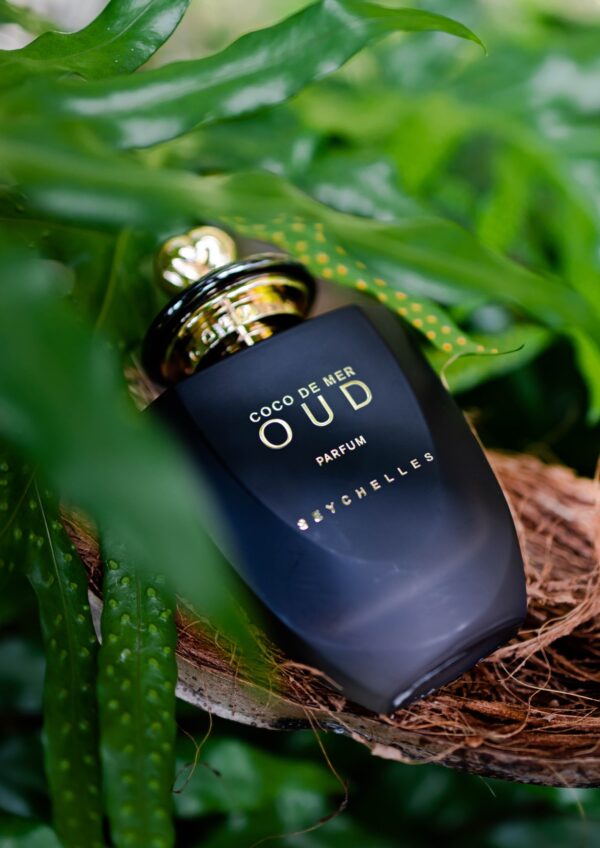 Coco de Mer Oud - Image 2