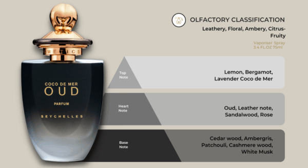 Coco de Mer Oud - Image 4